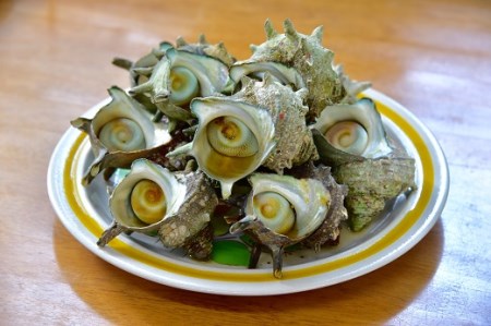 ボイルさざえ　【 サザエ 】