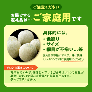 【2026年8月上旬発送】津軽産 青肉 メロン 約5kg ( 3~6玉 ) ご家庭用 品種おまかせ 【青森メロン】