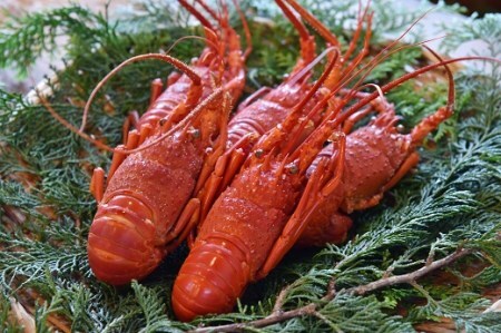 ボイル伊勢えび　【 伊勢海老 いせえび 】