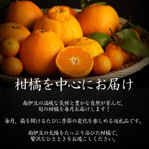 【全3回】旬の柑橘セット 3か月間の定期便　【 柑橘 】