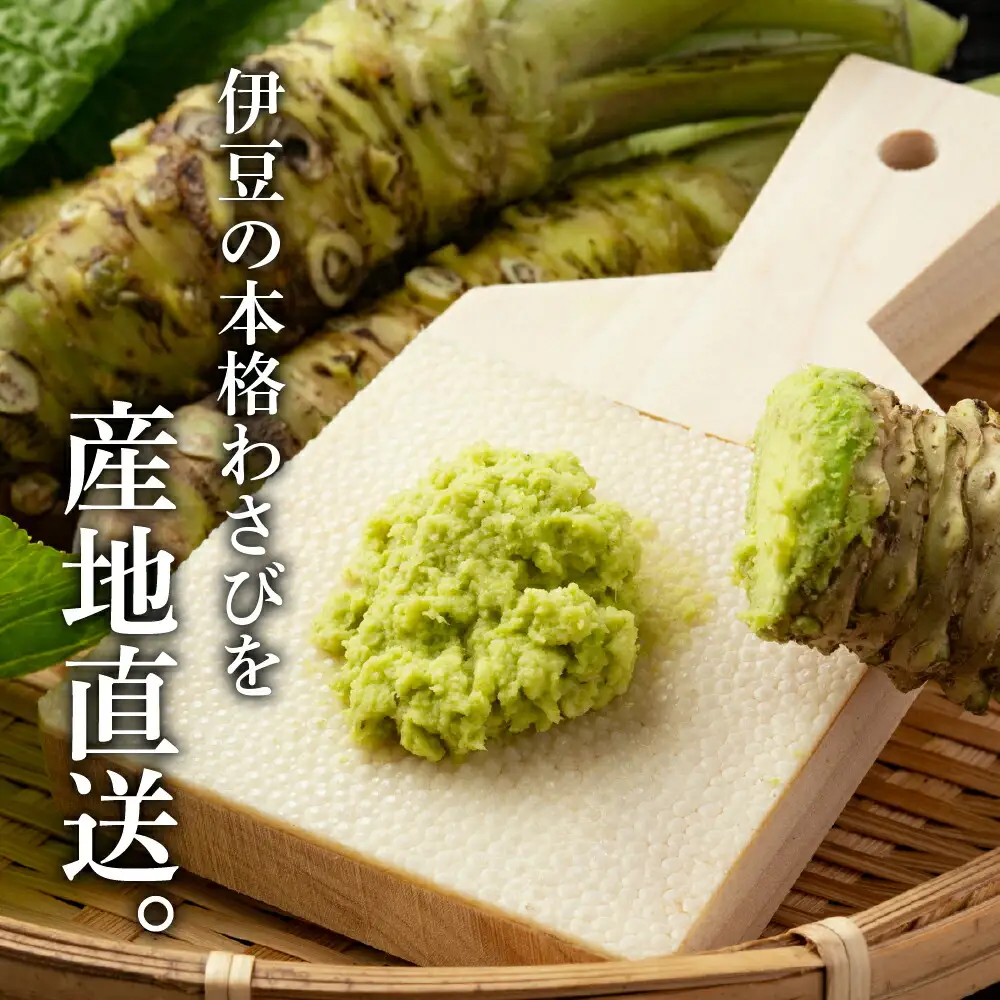 わさび 伊豆本格生わさび「真妻」堪能セット　012-005