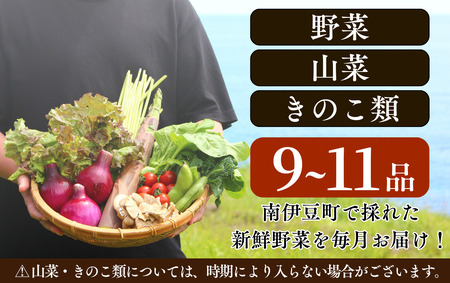 旬の野菜セット 6ヶ月の定期便　【 野菜 】
