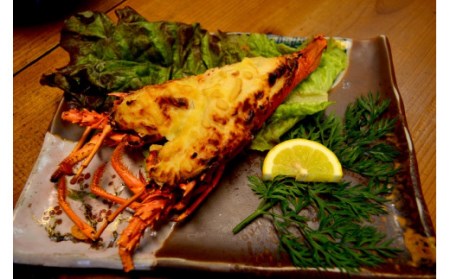 青木さざえ店の海産物おまかせ2回便　　【 魚介 】