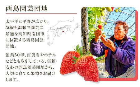 【先行予約】いちご 700g フルーツ イチゴ 西島園芸団地