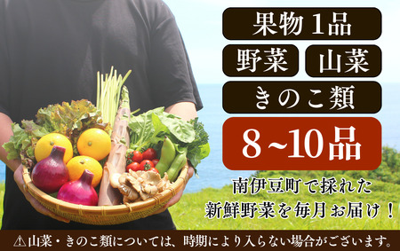 旬の野菜と果物セット 1年間の定期便　【 野菜 】
