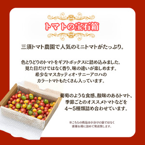 三須トマト農園 宝石箱セット 約1.8kg 船橋産 産地直送 ミニトマト ギフトボックス マスカッティオ サニーアロハ  ももちゃん フルーティカ バイオレット アイコ 国産 ビタミンＣ 詰め合わせバラ箱詰め  とまと トマト フルーツトマト 野菜 やさい 人気 新鮮 産地直送 甘い 高糖度 完熟 食べやすい リコピン ビタミン ダイエット 美容 美肌