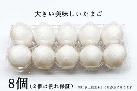 食旨たまごかけごはんDセット [h081]