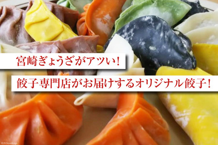 宮崎餃子 バラエティーセット 彩り・白・へべす 各15個 計45個 [餃子の里 宮崎県 日向市 452060985]