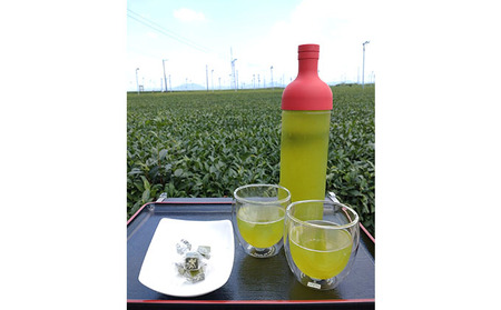 一番茶 深蒸し 粉茶 ティーバッグ 20パック 6袋 セット 詰め合わせ ティーバッグ 深蒸し煎茶 深蒸し茶 煎茶 水出し 水出し茶 水出し緑茶 緑茶 日本茶 お茶 茶 飲み物 飲料 ドリンク 静岡茶 静岡 静岡県 島田市