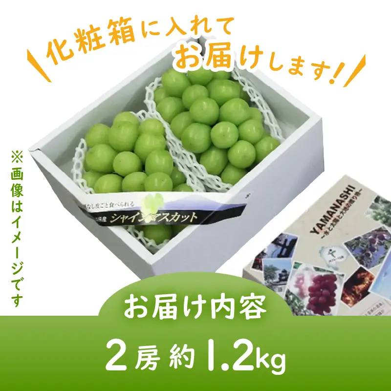 JAフルーツ山梨シャインマスカット2房【80】【2026年発送】B15-102 シャインマスカット フルーツ