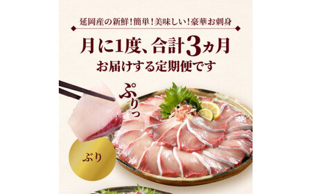 定期便定番シリーズ活〆鮮魚のお刺身(3ヶ月お届け) 【着日指定】定期便 3ヶ月 ぶり シマアジ カンパチ 延岡産 活〆 鮮魚 真空パック 刺身 脂のり しゃぶしゃぶ カルパッチョ 海鮮 魚 魚介類 厳選 新鮮 簡単 旬 チルド 冷蔵 解凍不要 国産 日向灘 宮崎県 延岡市 送料無料 N019-YD0198