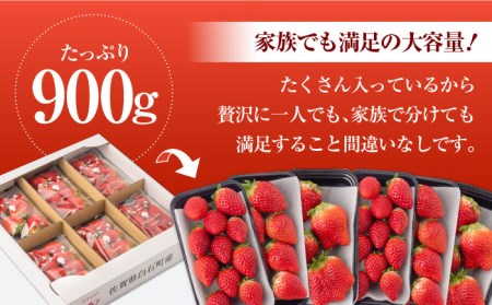 【先行予約】【2027年1月以降発送】いちごさん 900g / いちご [IAA022]