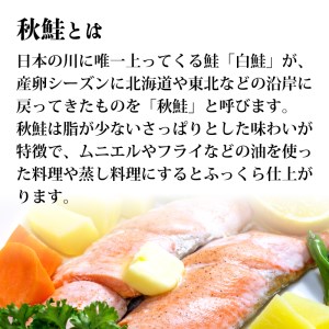 【切身】 鮭 切身 秋鮭 16切れ