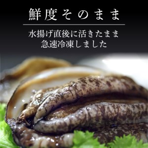 蝦夷あわび 約1kg 冷凍 鮑 あわび アワビ 鮑 Abalone ステーキ  バターソテー 正月 お正月 おせち 刺し身 刺身 バーベキュー BBQ ごはん 夕飯 おかず おつまみ 晩酌 米 丼 海産物 海鮮 魚介 魚介類 贈答品 お中元 お歳暮 大船渡 三陸 岩手県 国産