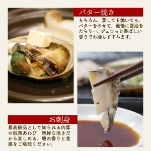 活あわび 特大サイズ 10個 約1.5kg 冷蔵 あわび