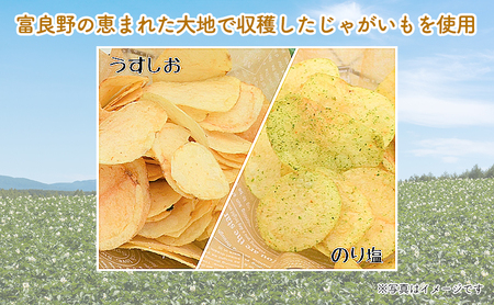 【2ヵ月に1回お届け】JAふらのポテトチップス【ふらのっち】2種類(各12袋)×4回 ふらの農業協同組合(南富良野町) 芋 菓子 スナック じゃがいも お菓子 ポテチ 定期便 詰合せ コンソメ うすしお のり塩 ガーリック 