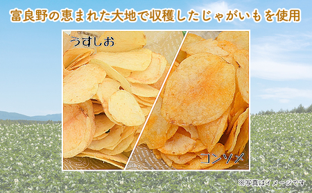 【3ヵ月に1回お届け】JAふらのポテトチップス【ふらのっち】うすしお味24袋 ふらの農業協同組合(南富良野町) ジャガイモ うすしお 芋 菓子 スナック じゃがいもお菓子 ポテチ 定期便 詰合せ 