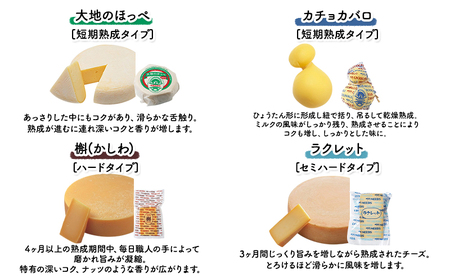 【メディアで多数紹介】 北海道 十勝 チーズアソート11種 / プレミアム食べ比べセット [チーズ工房NEEDS]【 チーズ 詰合せ セット バラエティ 槲 かしわ ラクレット モッツァレラ 大地のほっぺ さけるチーズ ミルクジャム 】