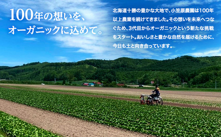 小笠原農園の有機玉ねぎ10kg【北海道十勝幕別】《2026年秋出荷先行予約》【 野菜 玉ねぎ たまねぎ パワーウルフ 北海道 幕別町 】 タマネギ 玉葱 