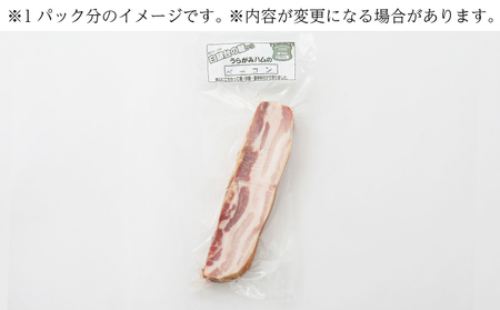 十勝の無添加豚 ベーコンブロック 600g［うらがみミート］ 無塩せき 保存料・結着剤不使用【 ベーコン 肉 豚 国産 惣菜 おつまみ 料理 燻製 加工品 北海道 十勝 幕別 】