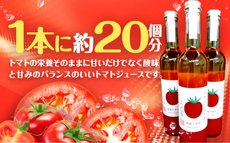 めぐみでぃトマト100%ジュース　500ml×3本　若狭の恵 小浜市 / 若狭の恵 [BFAG002]