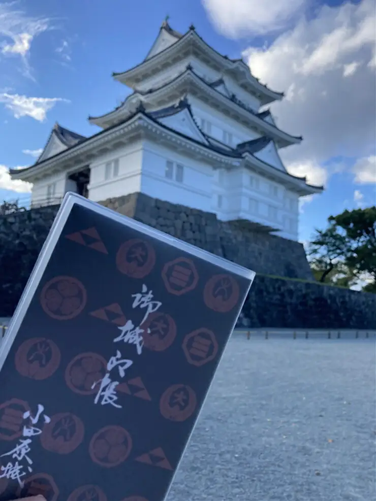 小田原城御城印・御城印帳・石垣山城御城印・北条五代武将印セット【小田原城 石垣山城 北条五代武将 武将 小田原御城印 武将印 5枚組 花押 朱印 古文書 小田原城天守閣ミュージアムショップ 神奈川県 小田原市 御城印 御城印 】