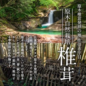 戻しいらず椎茸どんこ3袋 (計300g・100g×3袋) 原木栽培 干し椎茸 乾椎茸 しいたけ きのこ 出汁 大分県 佐伯市 【FR02】【かやの椎茸屋】