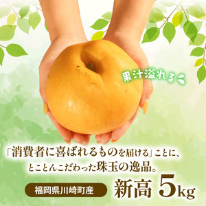 梨 5kg 新高 | 梨 IDG