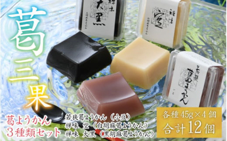 葛ようかんの3種類セット　葛三果(くずざんか）12個入 小浜市 / 井上耕養庵 [BFAH001]