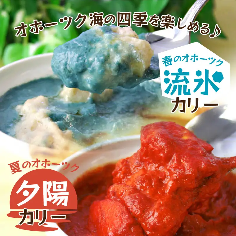 クリシュナ 春夏オホーツクカリー 2食セット 手焼きナン付 ( 食品 加工品 惣菜 カレー ナン セット 五つ星ホテル オホーツク海 オホーツクカレー )【127-0016】