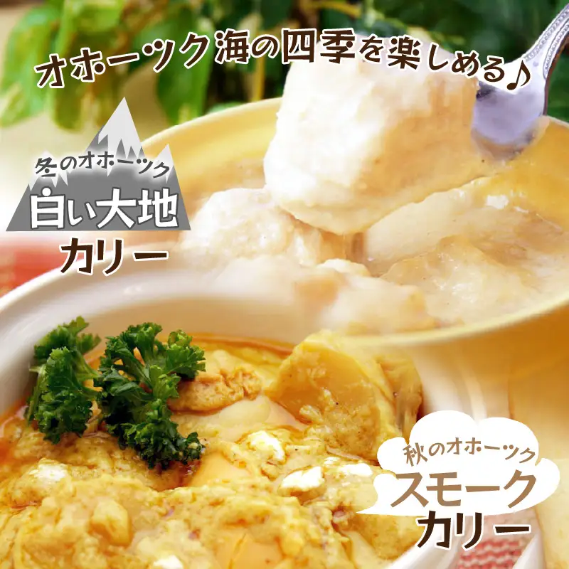 クリシュナ 秋冬オホーツクカリー 2食セット 手焼きナン付 ( 食品 加工品 惣菜 カレー ナン セット 五つ星ホテル オホーツク海 オホーツクカレー )【127-0017】