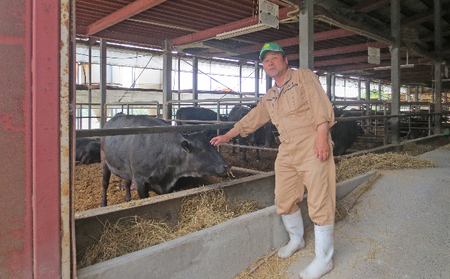 備中牛 和牛焼肉セット 1.6kg 農林水産大臣賞受賞 お肉 牛肉 ロース モモ バラ 