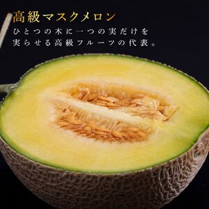 《6ヶ月定期便》“高知県産”高級マスクメロン（ご贈答・ギフト用）1玉入【発送期間：4月～12月（9カ月）】【1月～3月は気候温度不安定の為出荷不可となります。】