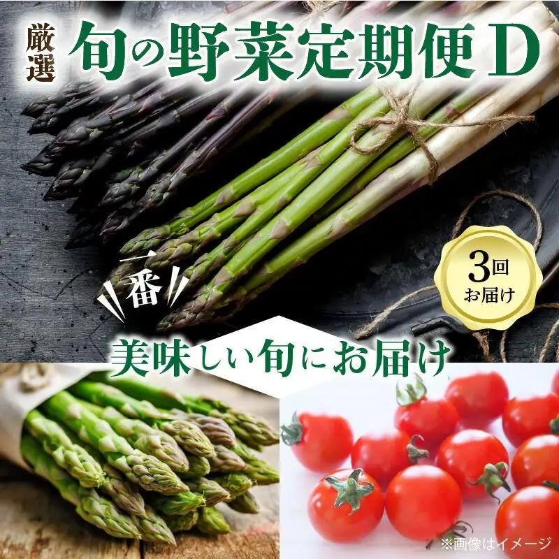 季節のやさい  厳選 高松市 3回 [旬な季節に合計3回発送]定期便D