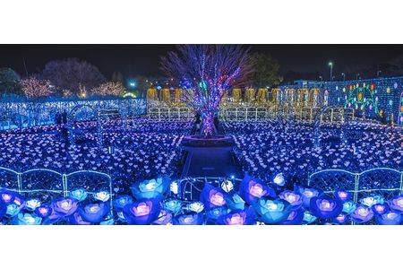 あしかがフラワーパーク入園券（2枚）+オリジナルグッズ F7Z-751