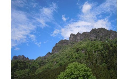 日本三奇勝・山のガイドとめぐる妙義山登山ツアー1名様分【中級コース】日本三奇勝 妙義山 登山 山岳 ツアー ガイド付き 観光 F20E-720