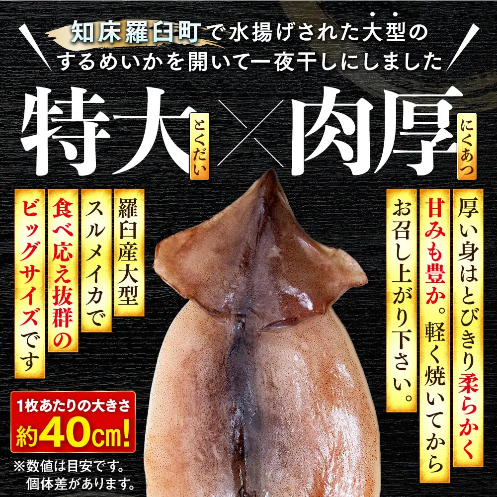 知床羅臼産するめいかの一夜干し8枚セット（1枚 250g 前後）イカ 酒の肴 おつまみ 国産 北海道
