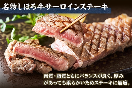 北海道 しほろ牛 サーロイン ステーキ 200g前後 2枚 ＆ しほろ牛 ハンバーグ150g 4個 セット 肉 牛 赤身肉 国産牛 肉 ビーフ 牛肉 冷凍 お取り寄せ 送料無料 十勝 士幌町【L12】