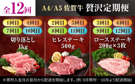 【12回定期便】佐賀牛 定期便 / 牛肉 [IAG076]