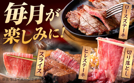 【3回定期便】佐賀牛 定期便 / 牛肉 [IAG077]