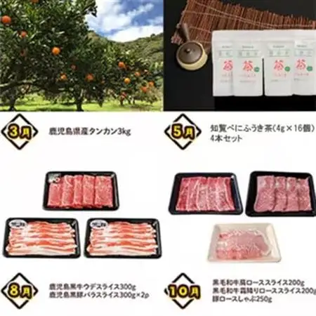 【発送月固定定期便】南九州トクトク定期便ライト全4回【配送不可地域：離島】【4014686】