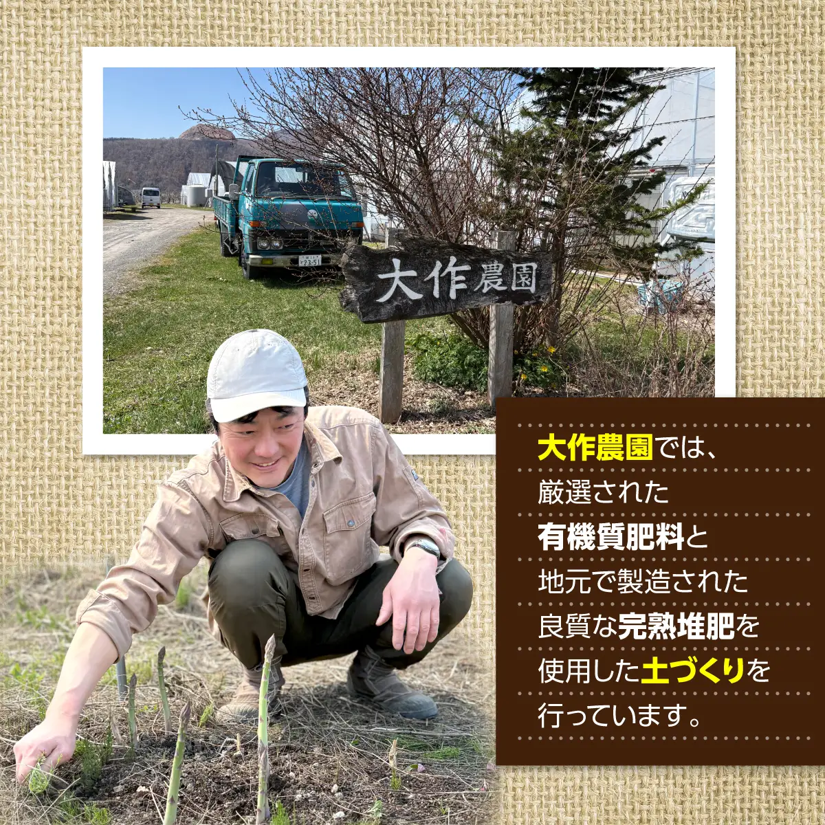＜2026年7月上旬よりお届け＞北海道壮瞥町産　大作農園「夏アスパラとカラフルミニトマト」のセット約1kg 先行予約 SBTR004