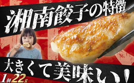 餃子 春巻 セット 計 60個 餃子