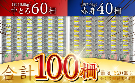 天然 本鮪 中とろ ・ 赤身 合計 100柵 M007-008-03 冷凍 マグロ