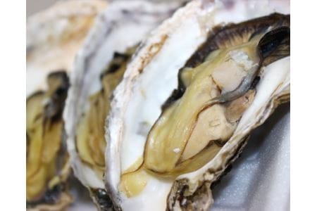 松島観光贅沢プラン No.044