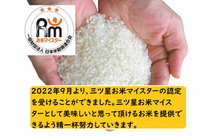 物価高対抗ブレンド米　10kg | お米 業務用ブレンド米 精米