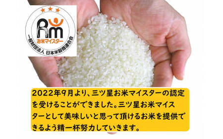 物価高対抗ブレンド米　20kg | お米 業務用ブレンド米 精米