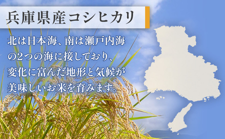 お米 令和7年産 兵庫県産コシヒカリ5kg 米 お米 こめ コメ 白米 兵庫県 伊丹市 