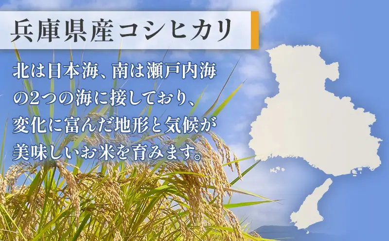 お米 令和7年産 兵庫県産コシヒカリ10kg(5kg×2) 米 お米 こめ コメ 白米 兵庫県 伊丹市 
