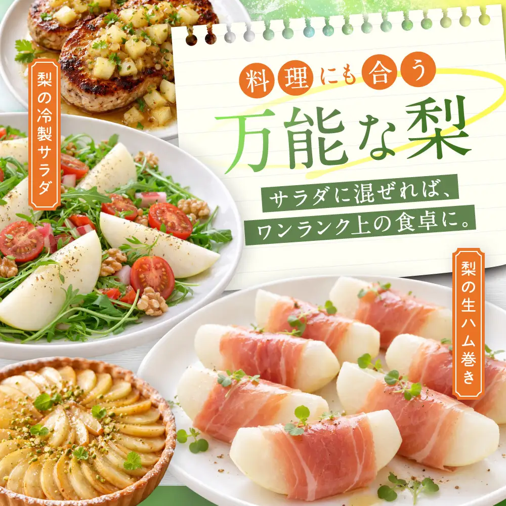 二十世紀梨 訳あり 3キロ（砂丘のなし屋さん）